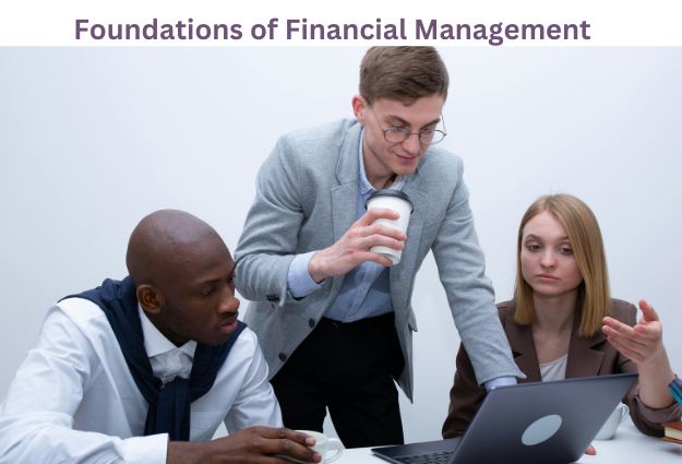 Foundations of Financial Management PDF Download eBook